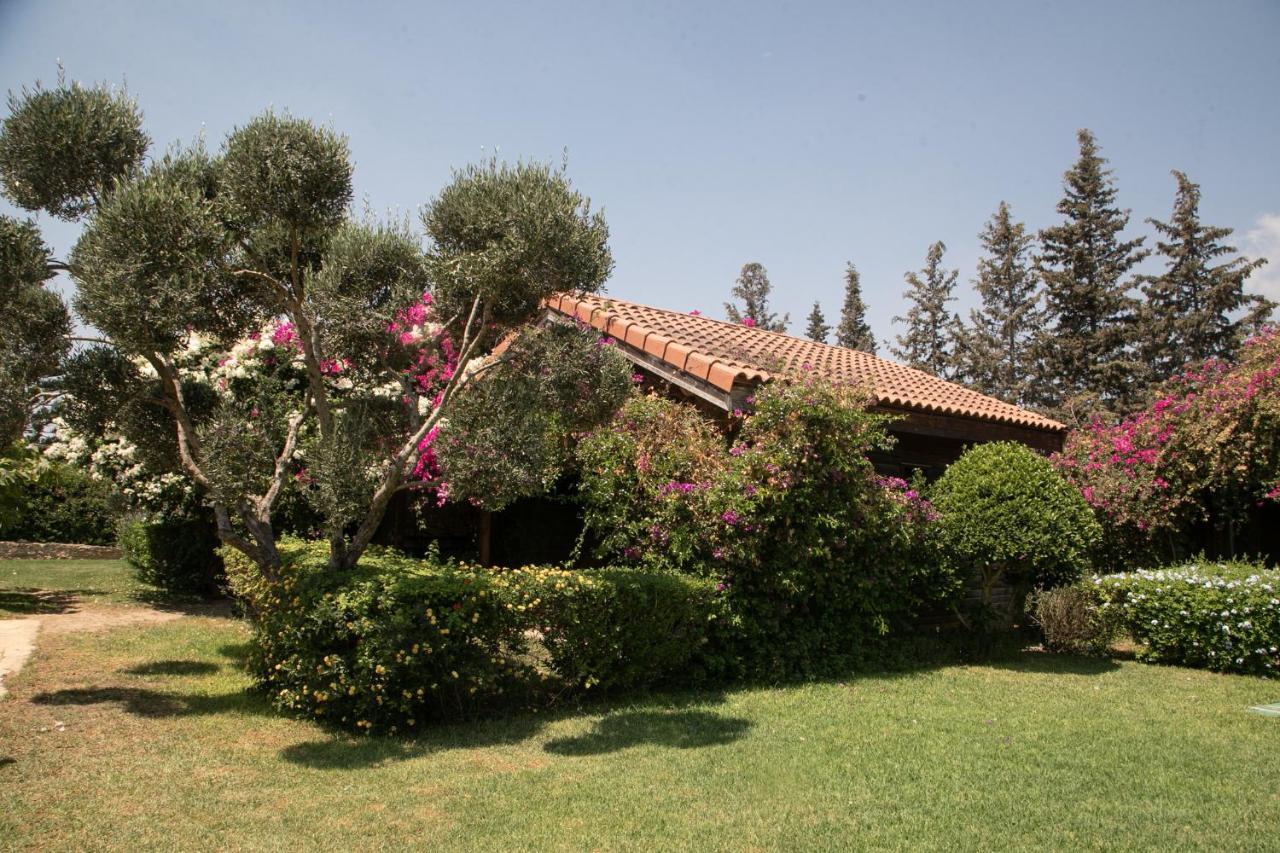 Dar Zitouna Sousse-Tunisie ภายนอก รูปภาพ