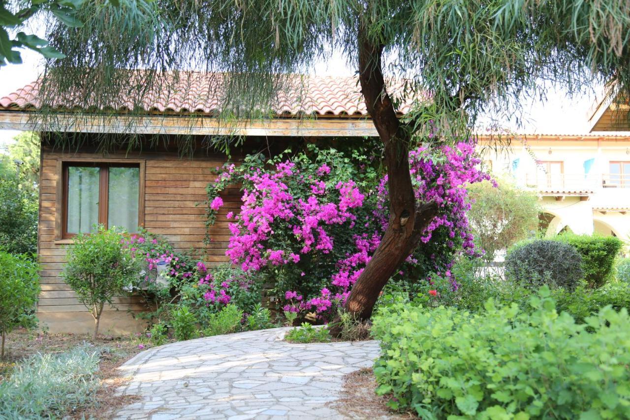 Dar Zitouna Sousse-Tunisie ภายนอก รูปภาพ